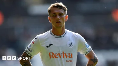 Swansea news: Midfield star calls for killer instinct