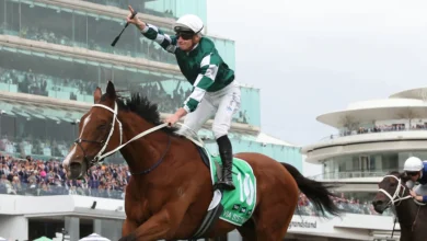 TAB Champions Stakes Day form guide 2025: 'Question mark' lingers over Australia's best horse Via Sistina