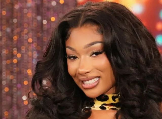 TSR Staff China! @China_lovelace _________________________________ #TSRShootYourShot: #MeganTheeStallion is speaking a major goal into existence, the Super Bowl stage! ”I’m manifesting a Super Bowl halftime performance for myself in the futur