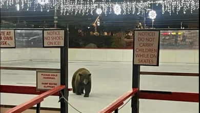 Tahoe's Heavenly Village opens ice rink for season with an unusual first-time skater