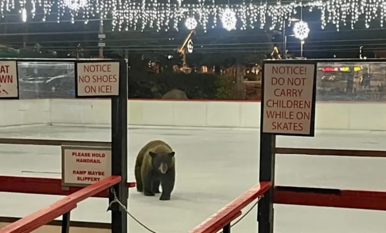 Tahoe's Heavenly Village opens ice rink for season with an unusual first-time skater