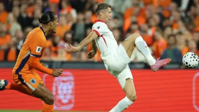 Tak w Holandii widzą Polskę. Nawet się nie kryją. "Bo inaczej ludzie powiedzą"