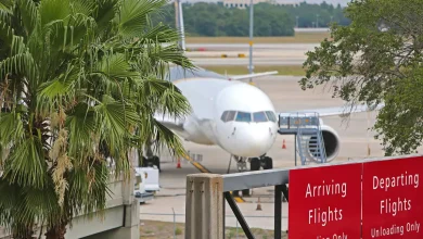 Tampa International Airport Expects 924,000 Thanksgiving Travelers