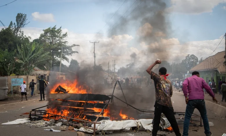 Tanzanian opposition decries 'sham' elections, alleges hundreds of deaths