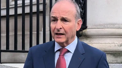 Taoiseach was warned Stripe co-founder was likely to be critical of Ireland's over-regulation