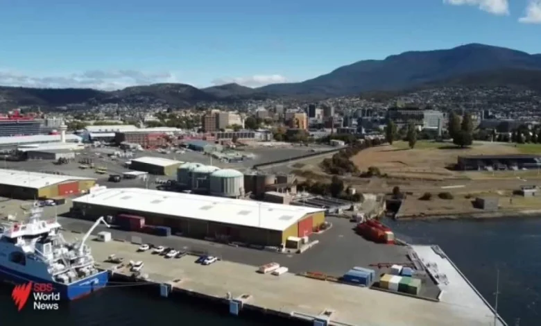 Tasmanian Planning Commission give evidence on development of new stadium