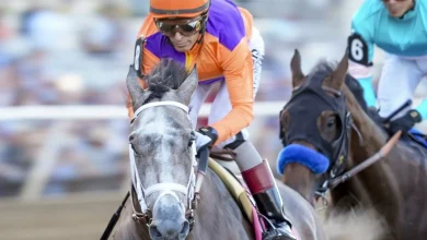 Ted Noffey Completes Undefeated Season in the Breeders' Cup Juvenile