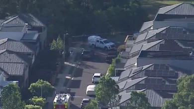 Teen, 17, stabbed to death near Sydney school