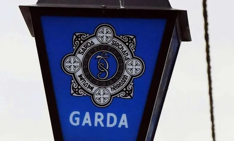 Teenager charged over fatal assault of man in Co Kildare