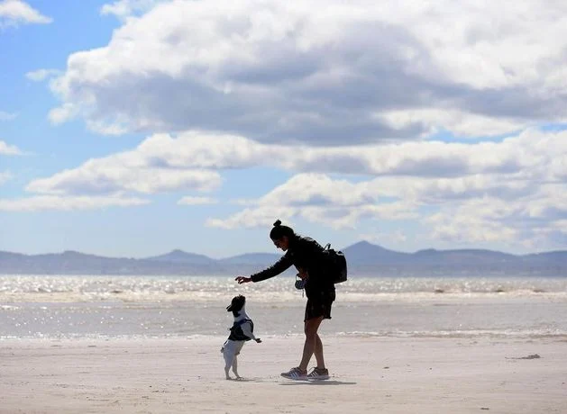 Temperatures to drop below freezing tonight, as Met Éireann warn of cold nights ahead