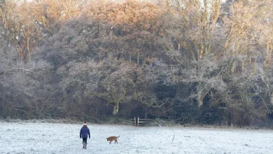 Temperatures to plunge to -3C as Arctic blast brings sleet, snow and icy conditions