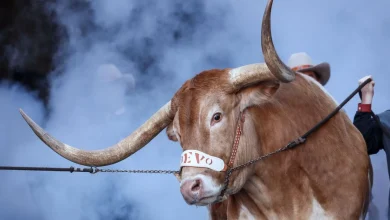 Texas returns to top 10; ACC places five in poll