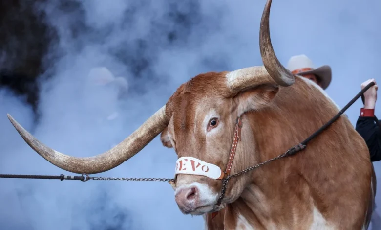 Texas returns to top 10; ACC places five in poll