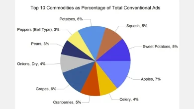 Thanksgiving Retail Activity Sees Increase in Vegetable and Fruit Promotions