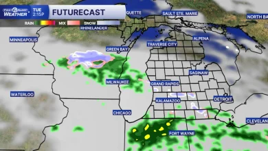 Thanksgiving Travel Forecast