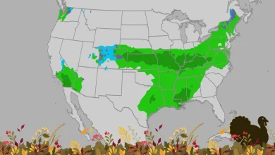 Thanksgiving Travel: Where The Forecast Is Looking Turkey-tastic!