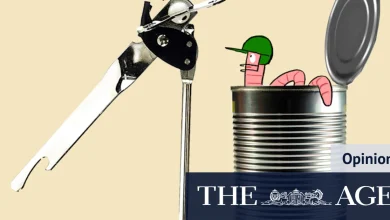 The Ashes are here and Australia still haven’t found an opener. But mess isn’t all of selectors’ making