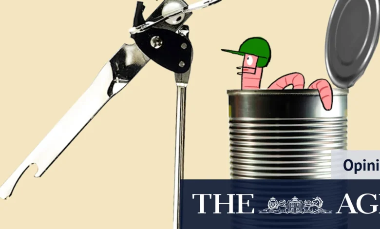 The Ashes are here and Australia still haven’t found an opener. But mess isn’t all of selectors’ making