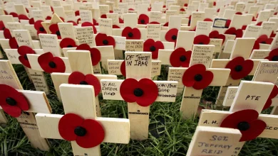 The BBC marks Remembrance Week 2025