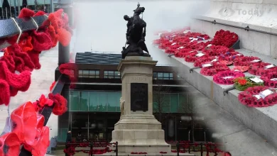 The BBC marks remembrance week 2025