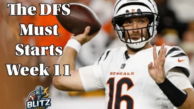 The DFS Must Starts: Bad Defenses Highlight Bengals-Steelers Matchup In Week 11