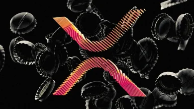 The Daily: Bitwise debuts spot XRP ETF, RippleX engineer explores potential for native XRP staking, and more