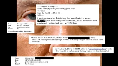 The Darkest Thread in the Epstein E-mails