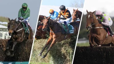 The Fighting Fifth and Coral Gold Cup stand out on Saturday - but don't miss this beginners' chase with a rich recent history