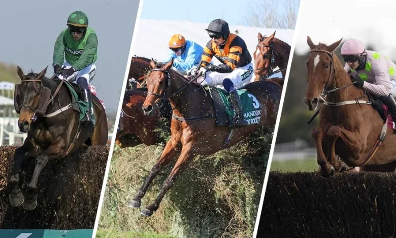 The Fighting Fifth and Coral Gold Cup stand out on Saturday - but don't miss this beginners' chase with a rich recent history