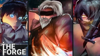 The Forge codes for November 2025