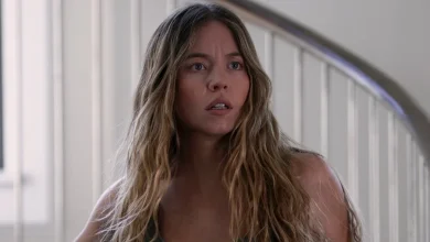 'The Housemaid' trailer: Sydney Sweeney, Amanda Seyfried, and WTF