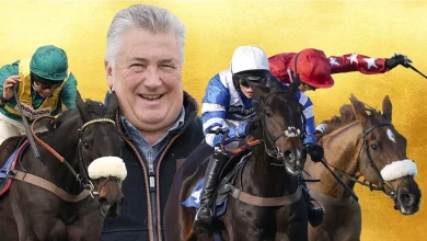 The Nicholls-Wincanton love affair: can we put our faith in the Ditcheat big guns on Badger Beers day?