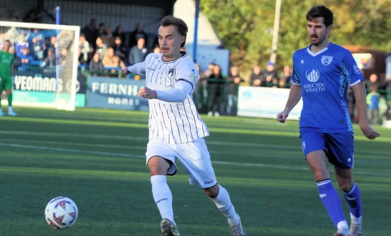 The Seagulls take on The Shots in Emirates FA Cup