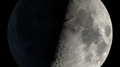 The Sky Today on Wednesday, October 29: The First Quarter Moon shines