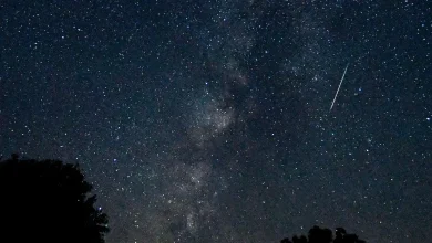 The Southern Taurids meteor shower peaks this week. But don't get too excited.