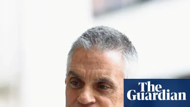 The Tube presenter, the former ballerina and the banker: the BBC board’s members