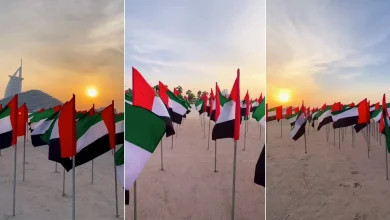The UAE Flag Garden has returned to Kite Beach Dubai