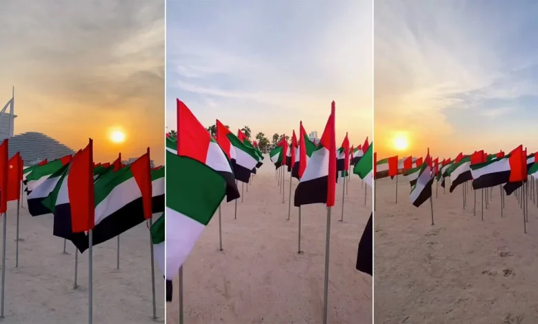 The UAE Flag Garden has returned to Kite Beach Dubai
