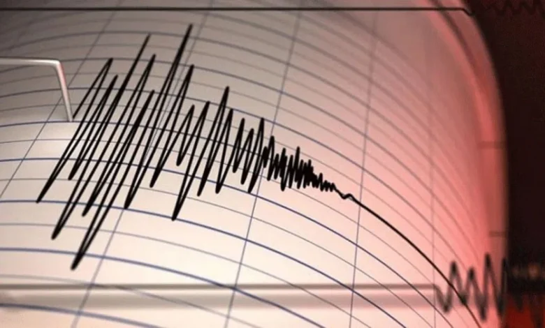 The World, Seen Locally