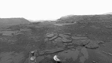 The 'anti-weather' of Venus