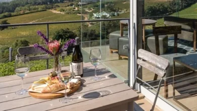 The best wine tasting experiences in Cape Town
