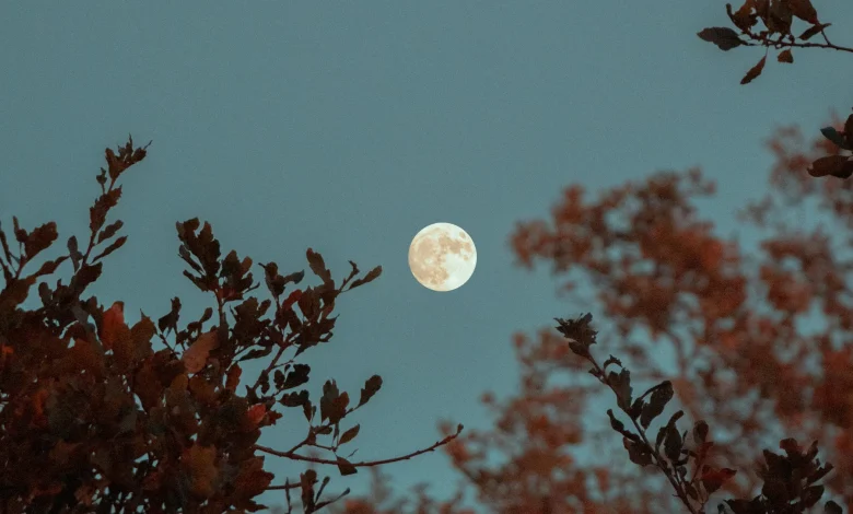 The biggest (and brightest) supermoon of 2025 will rise above Sydney tomorrow