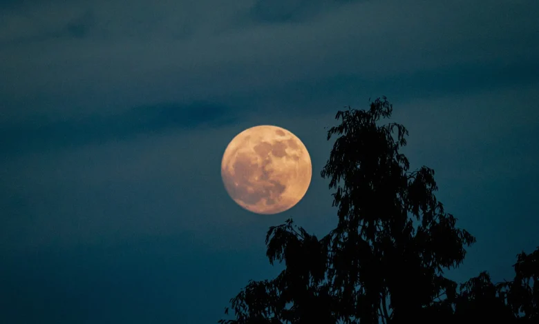 The biggest and brightest supermoon of the year will light up the sky above Melbourne this week