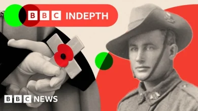 The challenge of commemorating WW1 without any living veterans