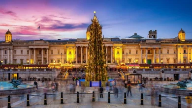 The exact date that the Trafalgar Square Christmas tree will arrive for the 2025 festive season