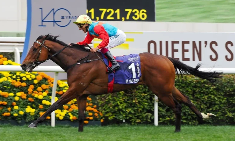 'The faster they go, the better he is' - world's best sprinter Ka Ying Rising stretches unbeaten run to 15