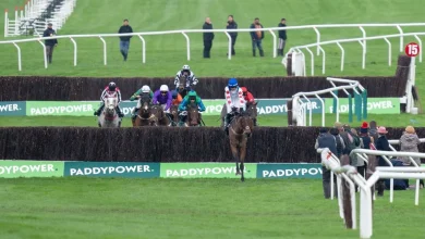 The key questions on day two of Cheltenham's November meeting as Paddy Power Gold Cup field is confirmed