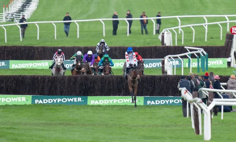 The key questions on day two of Cheltenham's November meeting as Paddy Power Gold Cup field is confirmed