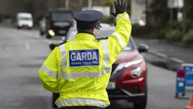 'The most effective deterrent' - Calls for more Garda checkpoints to cut road deaths