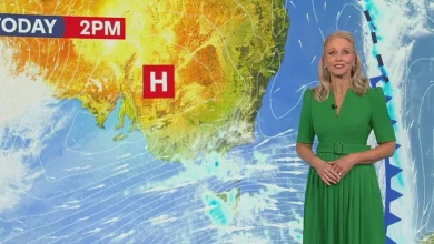 'The right time': Livinia Nixon signs off from 9News weather after 21 years
